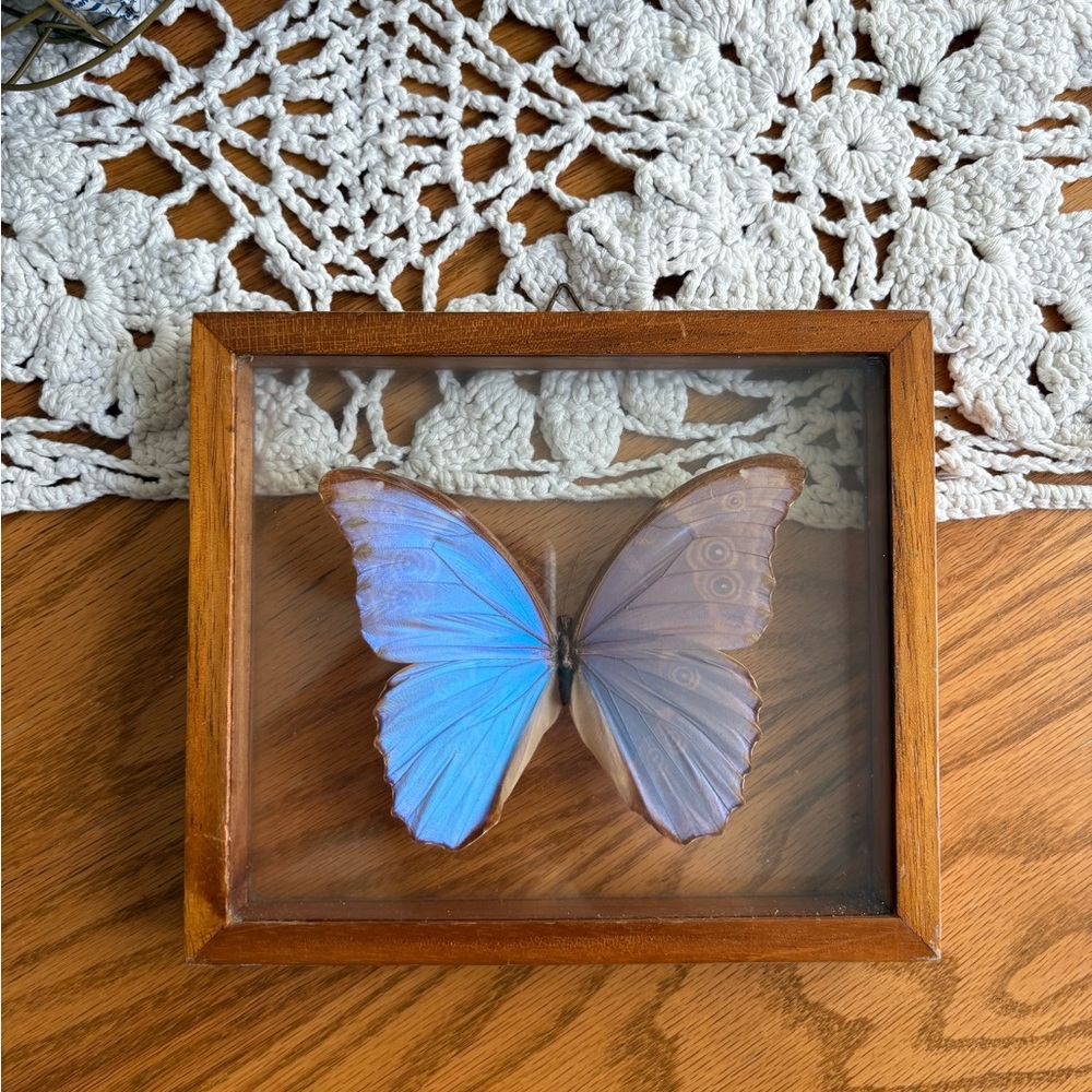 SOLD Blue and Brown Picture Frame Accent